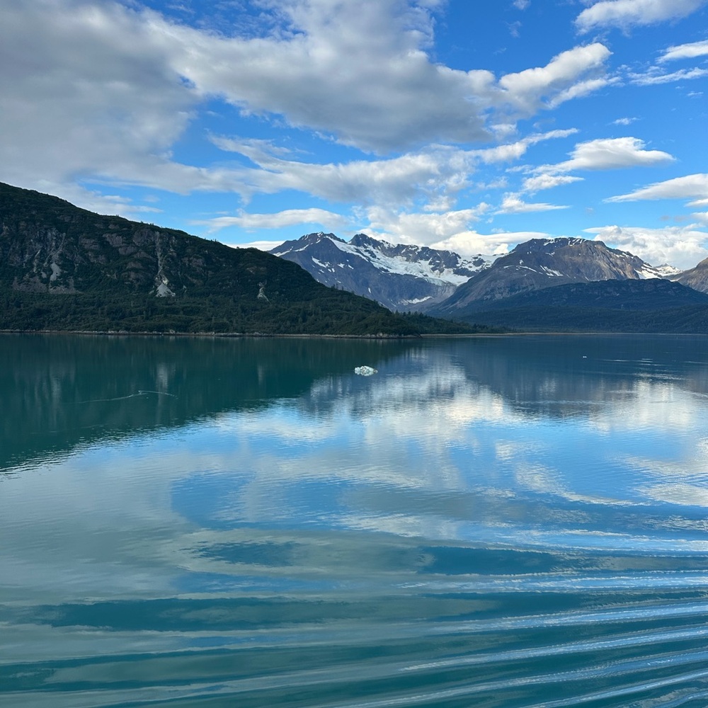 Meet your Posher find your treasure!